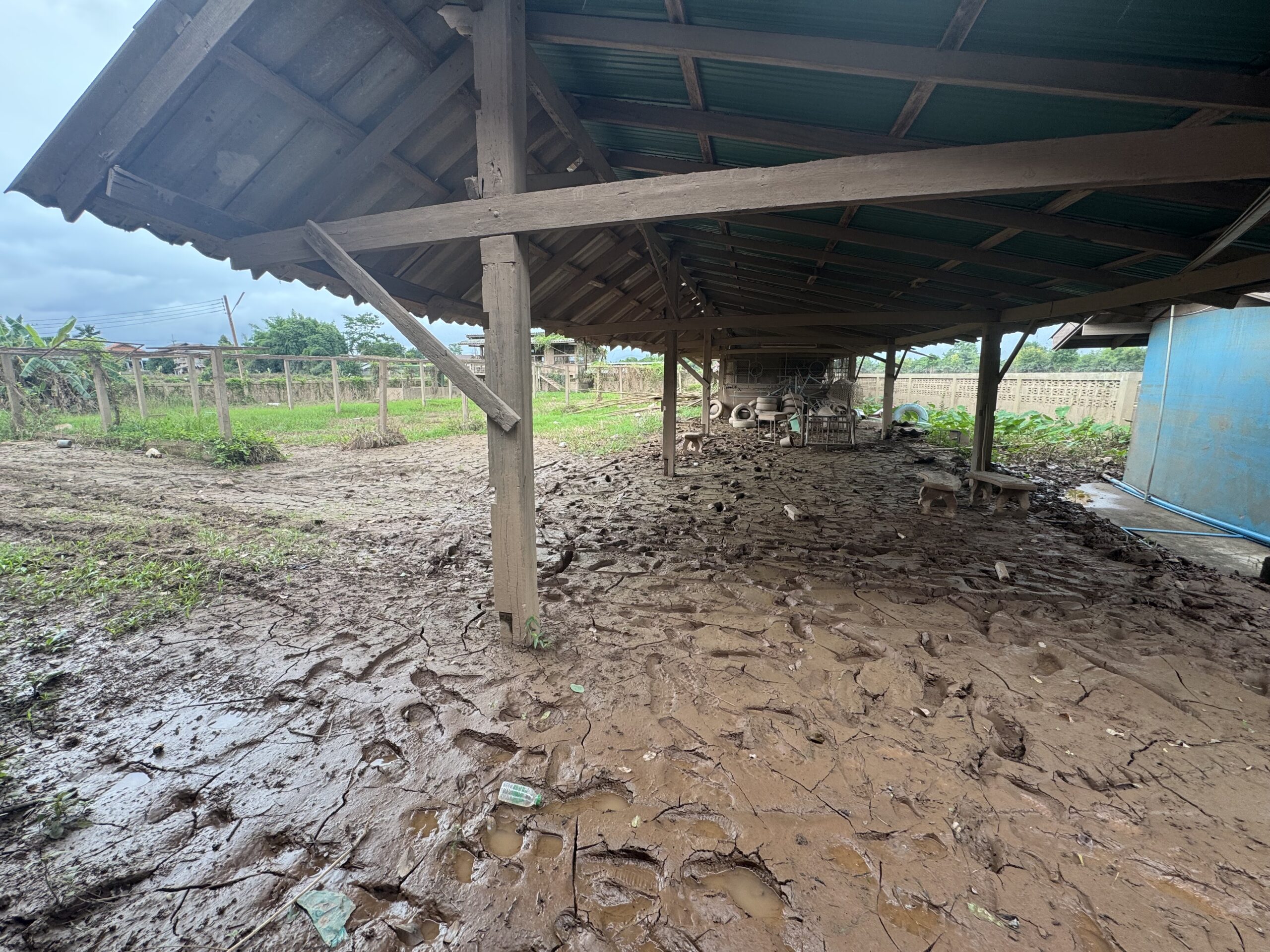 อธิบดีกรมวิชาการเกษตร ลงพื้นที่น่าน ติดตามช่วยเหลือเกษตรกรหลังน้ำท่วมหนักจากพายุวิภา 14 964783 scaled