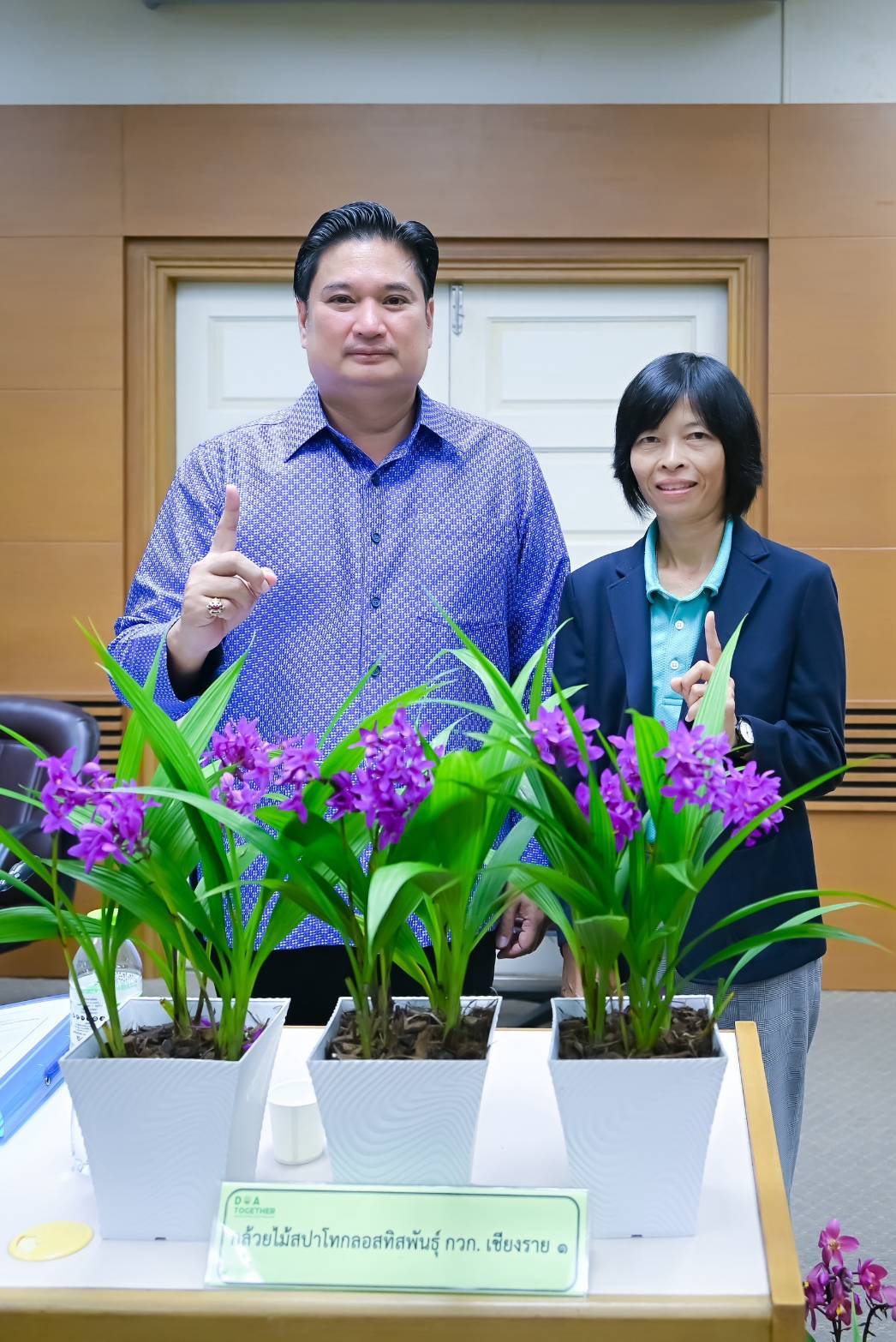 กรมวิชาการเกษตรเปิดตัว 10 ผลงานวิจัยพืชพันธุ์ใหม่ เสริมศักยภาพการผลิตและเพิ่มทางเลือกเกษตรกรไทย 8 970085