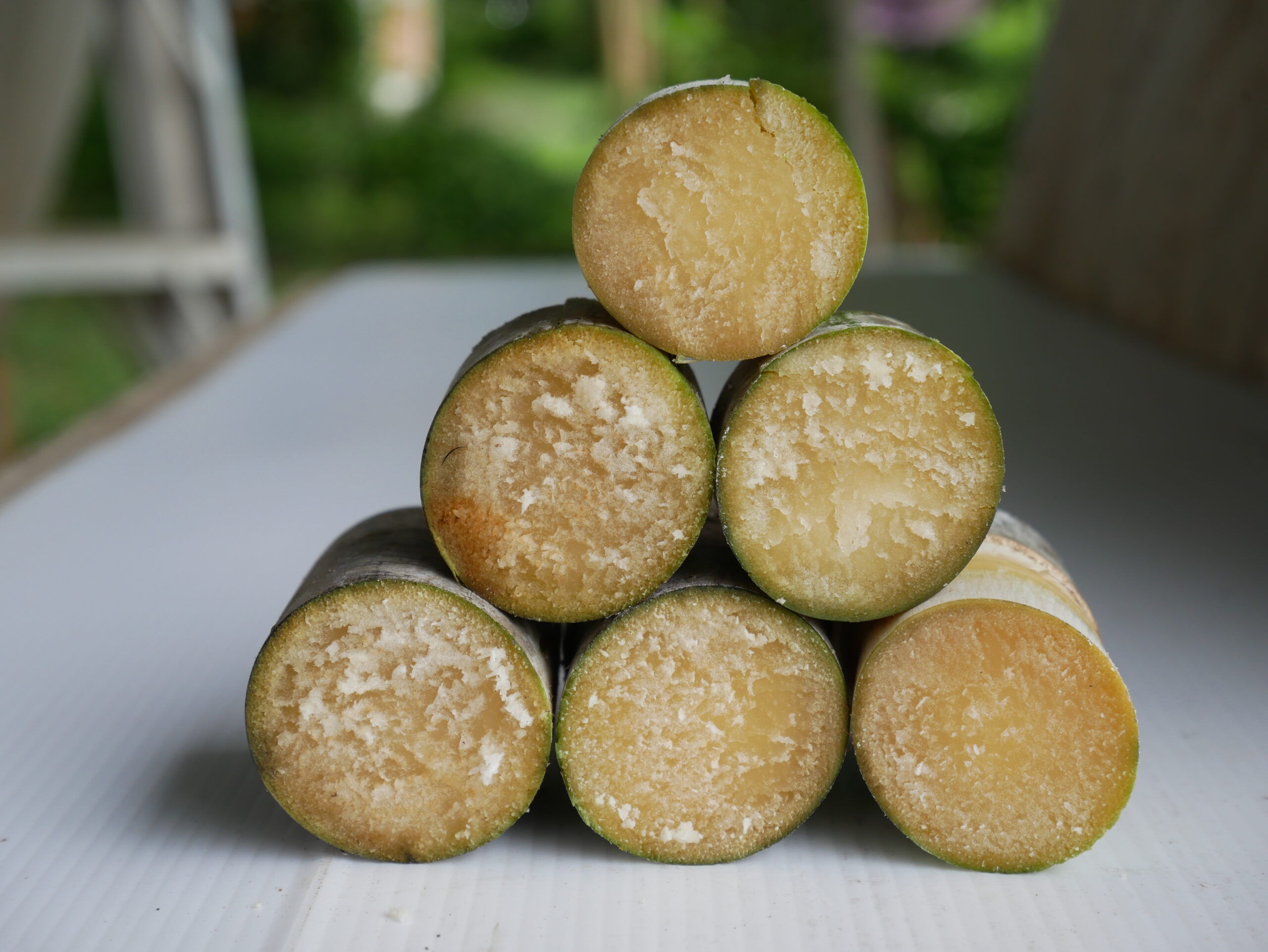 “อ้อยพันธุ์ กวก. นครสวรรค์ 2”อ้อยพันธุ์ใหม่ ผลผลิตสูง 18 ตัน/ไร่ 7 970703 scaled