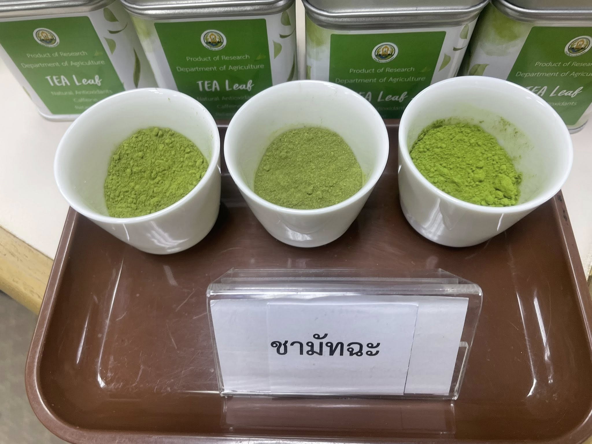 รู้จัก..ชาพันธุ์ กวก. เชียงใหม่ 1 10 971224