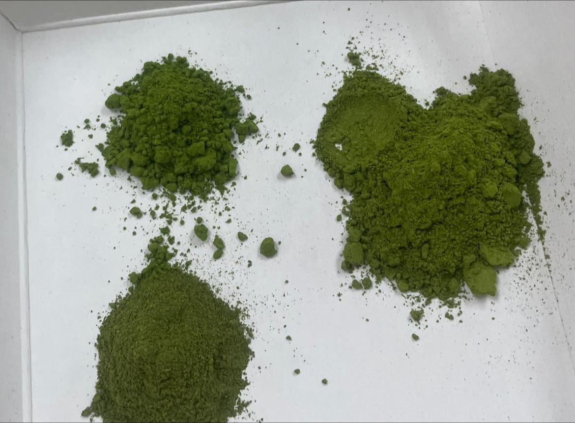 รู้จัก..ชาพันธุ์ กวก. เชียงใหม่ 1 12 971231