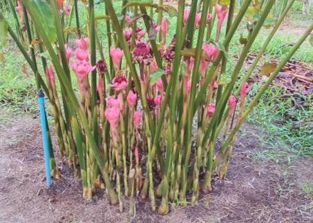 รู้จัก 972335