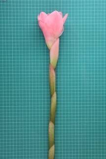 รู้จัก 972336