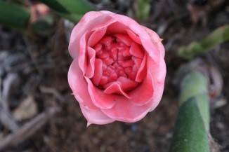 รู้จัก 972338