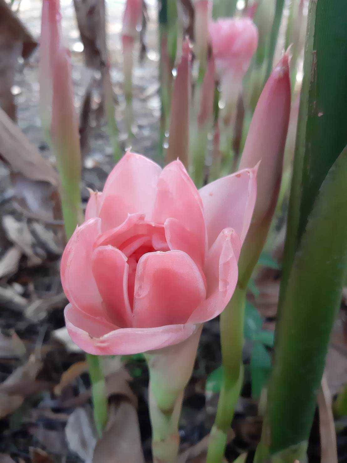 รู้จัก 972339