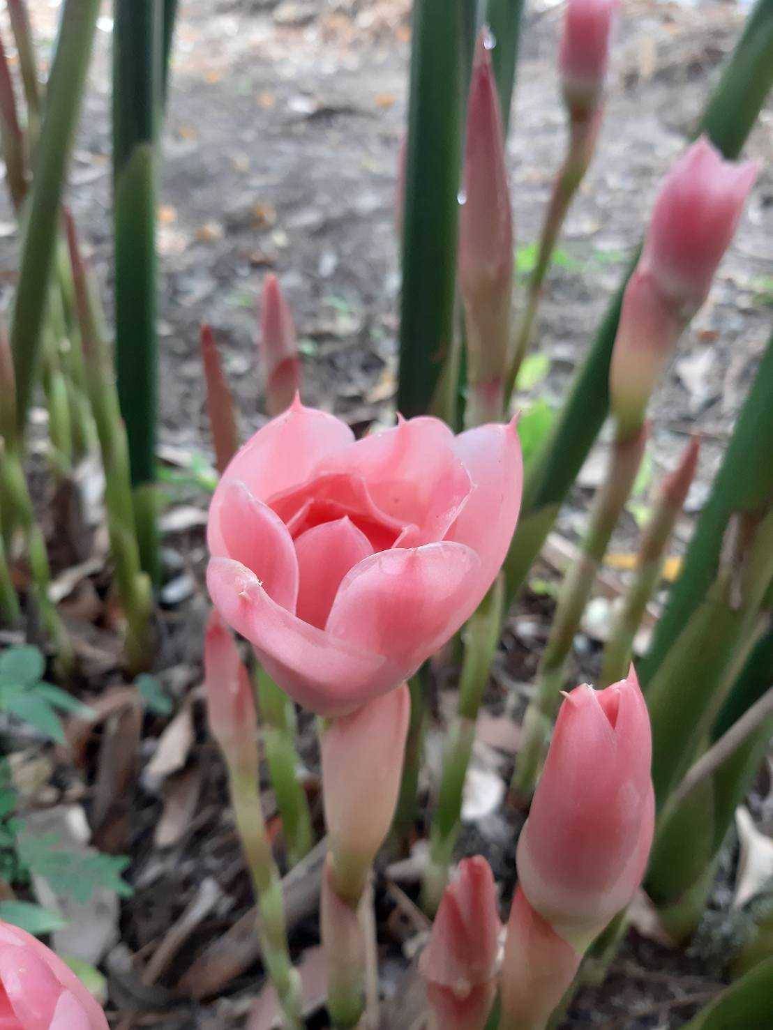 รู้จัก 972340