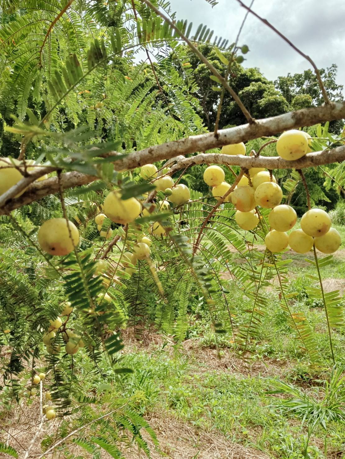 รู้จัก 972382