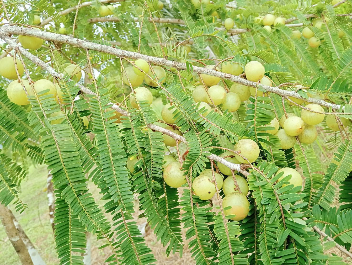 รู้จัก 972383