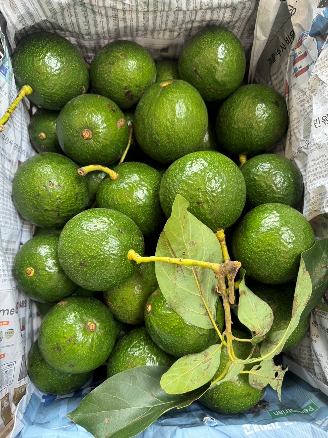 ทำสงครามกับโจร S 13000902