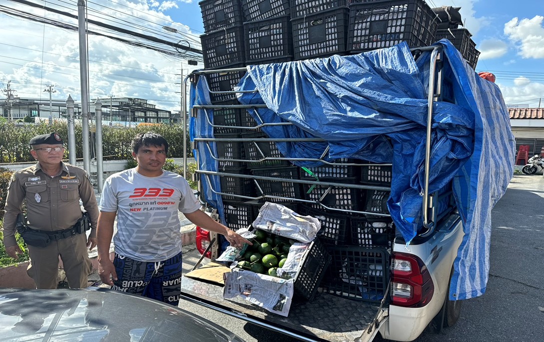 ทำสงครามกับโจร S 13000903