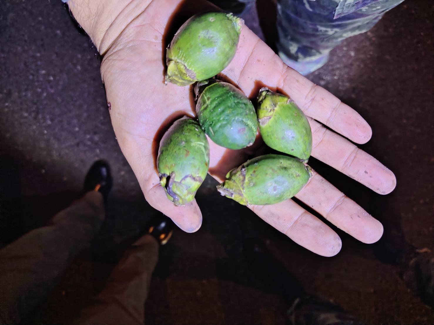 ทำสงครามกับโจร S 13000908