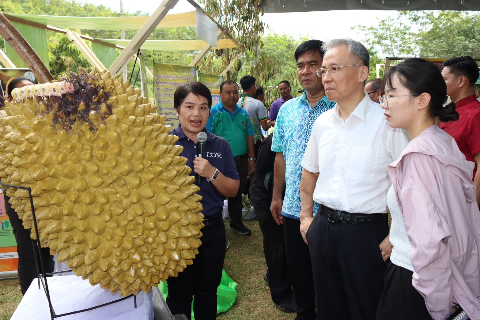กรมส่งเสริมการเกษตร เปิดสวนทุเรียนคุณภาพ ต้อนรับกงสุลใหญ่จีนประจำสงขลา สร้างความเชื่อมั่น ทุเรียนชายแดนใต้ สู่ตลาดสากล 7 S 133177364