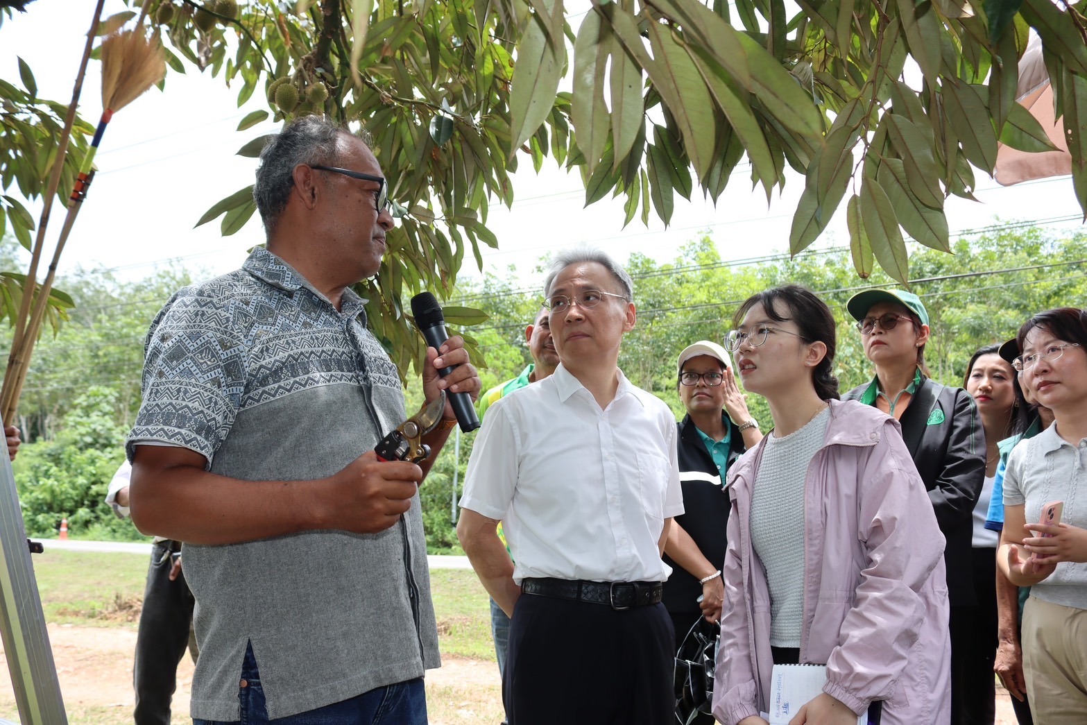 กรมส่งเสริมการเกษตร เปิดสวนทุเรียนคุณภาพ ต้อนรับกงสุลใหญ่จีนประจำสงขลา สร้างความเชื่อมั่น ทุเรียนชายแดนใต้ สู่ตลาดสากล 9 S 133177366
