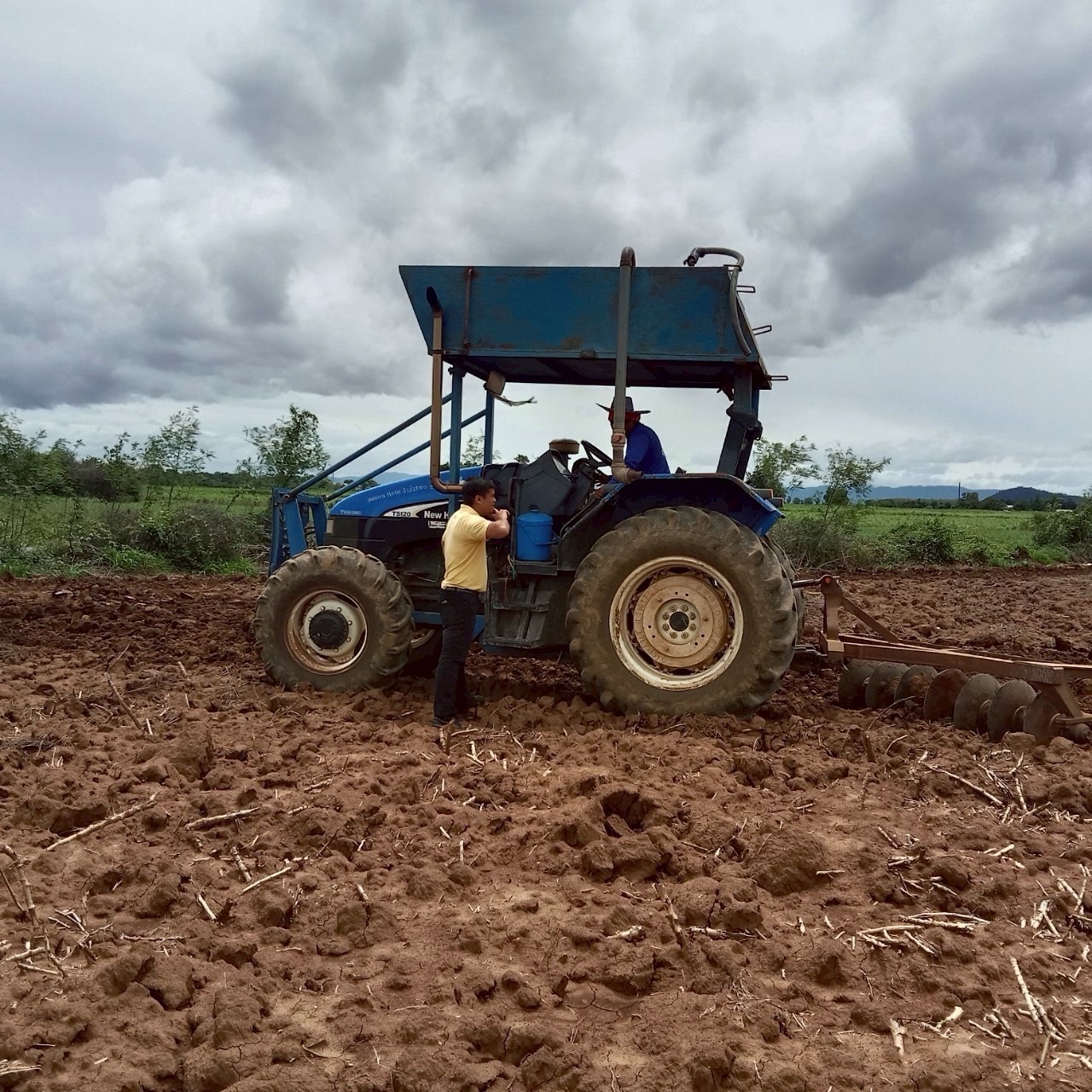 กรมส่งเสริมการเกษตร แนะเตรียมดินปลูกมันสำปะหลัง เพิ่มผลผลิตคุณภาพ สร้างรายได้ดี 3 S 160956443 0
