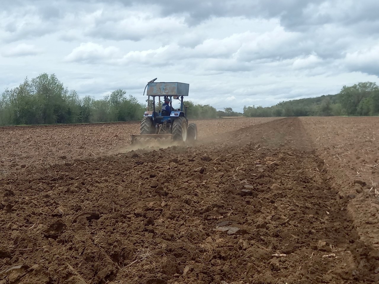 กรมส่งเสริมการเกษตร แนะเตรียมดินปลูกมันสำปะหลัง เพิ่มผลผลิตคุณภาพ สร้างรายได้ดี 4 S 160956445 0