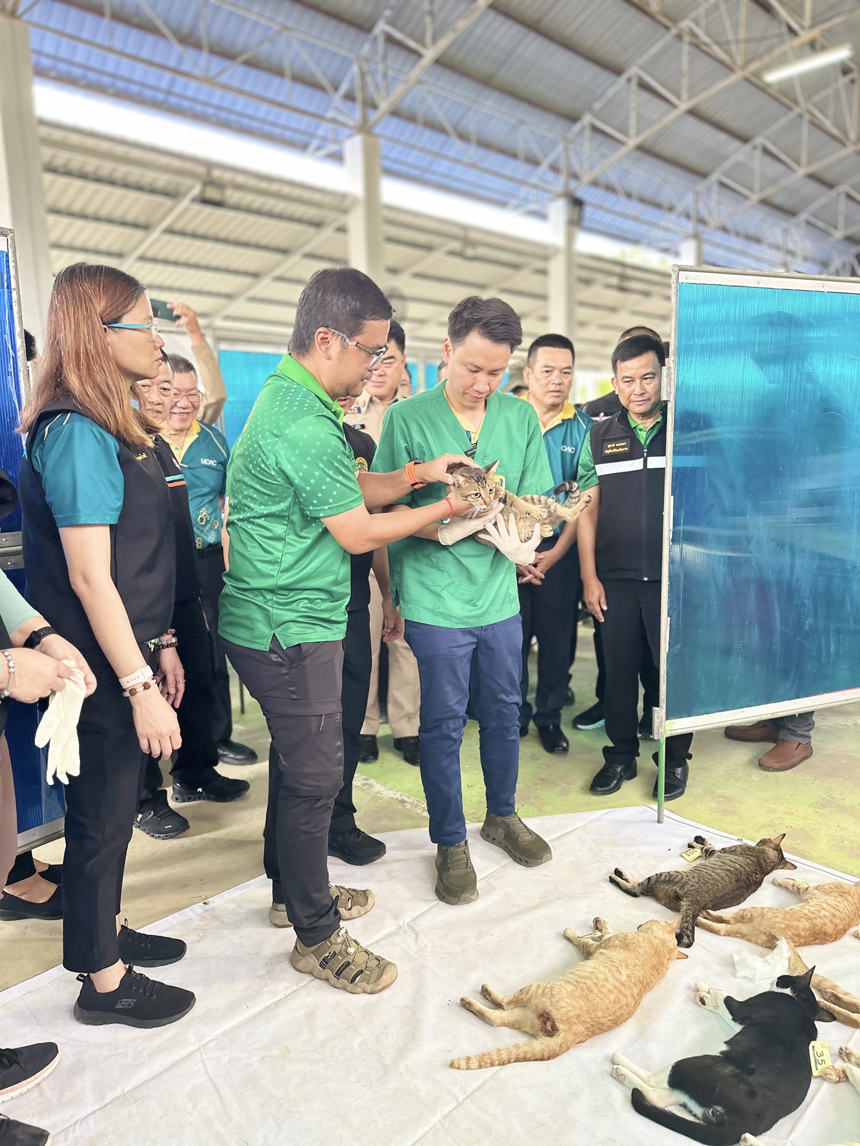 รัฐมนตรีว่าการกระทรวงเกษตรและสหกรณ์ เปิดโครงการเร่งรัดผ่าตัดทำหมันสุนัขและแมว เพื่อควบคุมป้องกันโรคพิษสุนัขบ้า ในพื้นที่เสี่ยงภายใต้โครงการสัตว์ปลอดโรค คนปลอดภัย จากโรคพิษสุนัขบ้า ตามพระปณิธาน สมเด็จพระเจ้าน้องนางเธอ เจ้าฟ้าจุฬาภรณวลัยลักษณ์ อัครราชกุมารี กรมพระศรีสวางควัฒน วรขัติยราชนารี 6 S 16343059