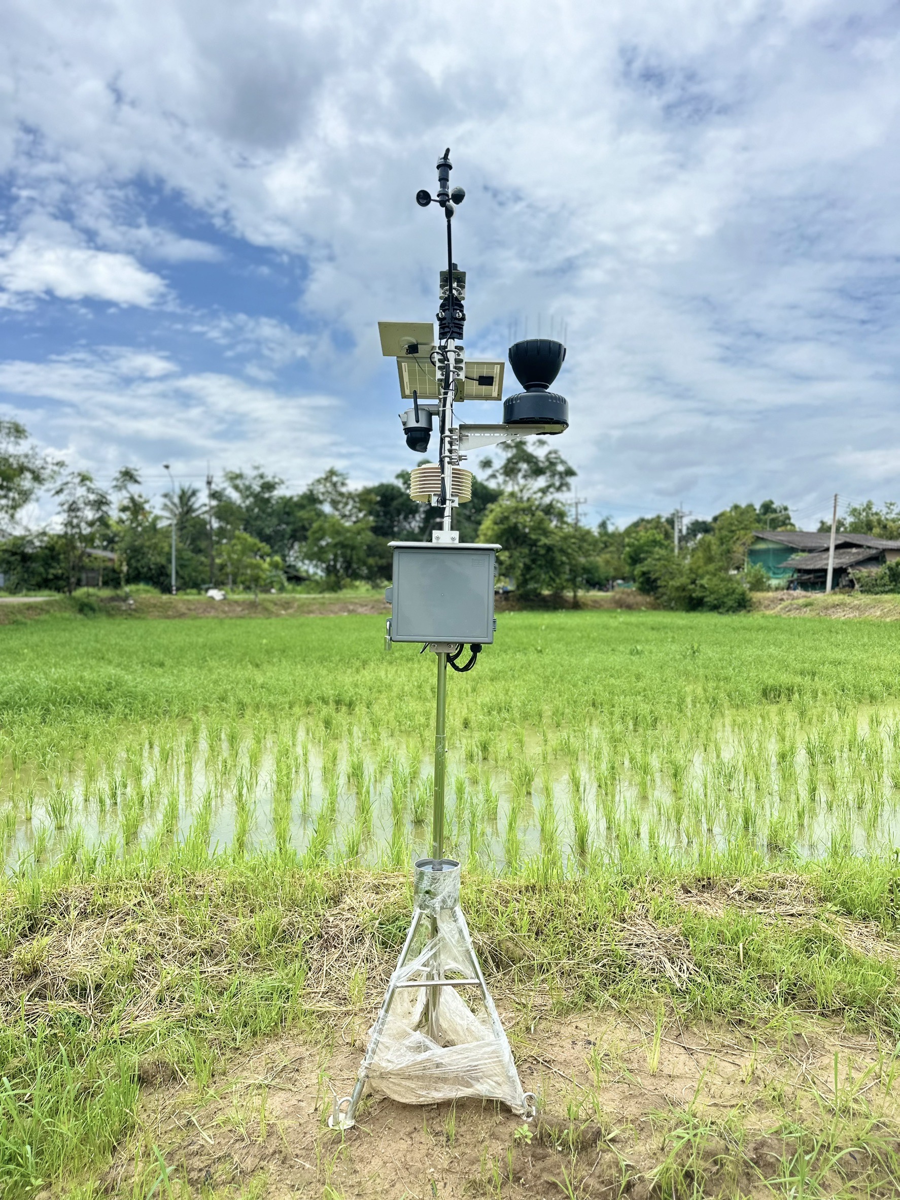 กรมการข้าวนำคณะสื่อมวลชนสัญจรศึกษาดูงานและประชาสัมพันธ์การดำเนินงานโครงการส่งเสริมและพัฒนาการผลิตข้าวด้วยเทคโนโลยีอัจฉริยะครบวงจร ปี 2568 16 S 16359546