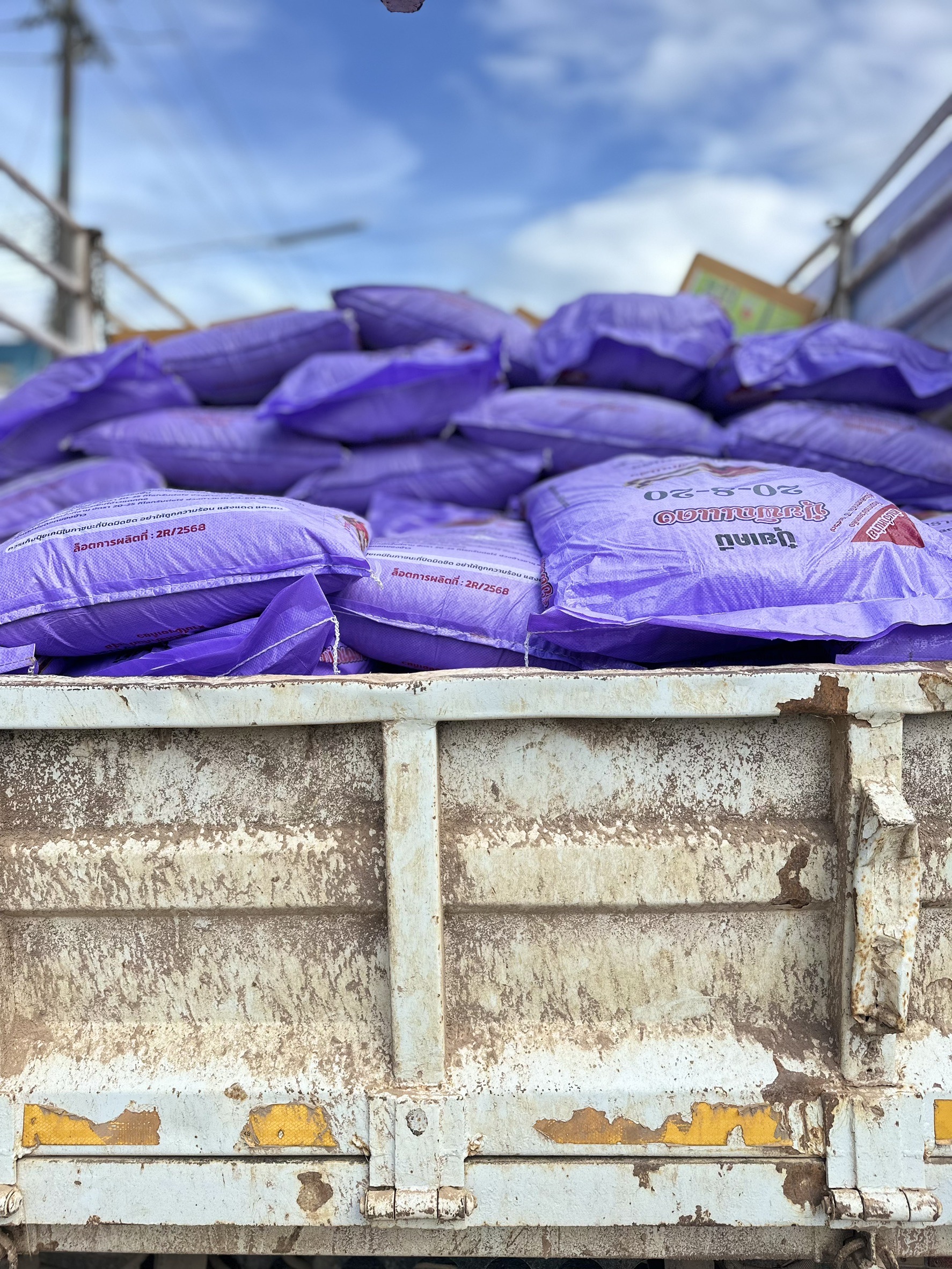 ศูนย์เมล็ดพันธุ์ข้าวพะเยา จัดเต็ม โครงการเพิ่มประสิทธิภาพการผลิตข้าวของเกษตรกรผู้ประสบอุทกภัย 3 S 16400560