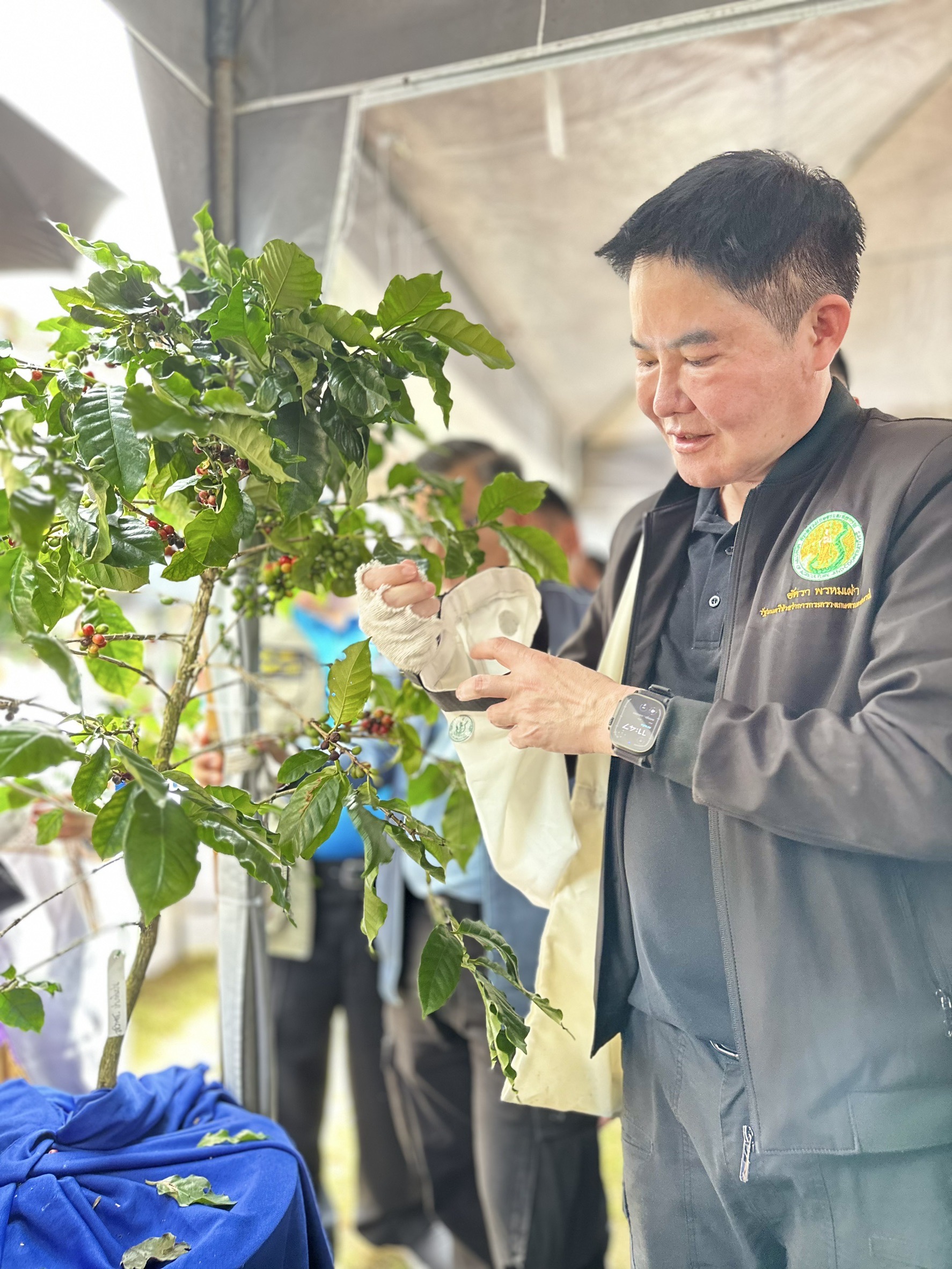 เกษตรฯ ยกระดับกาแฟไทย สู่การบรรลุเป้าหมาย 1,000 ไร่ ในปี 2570 11 S 16547889