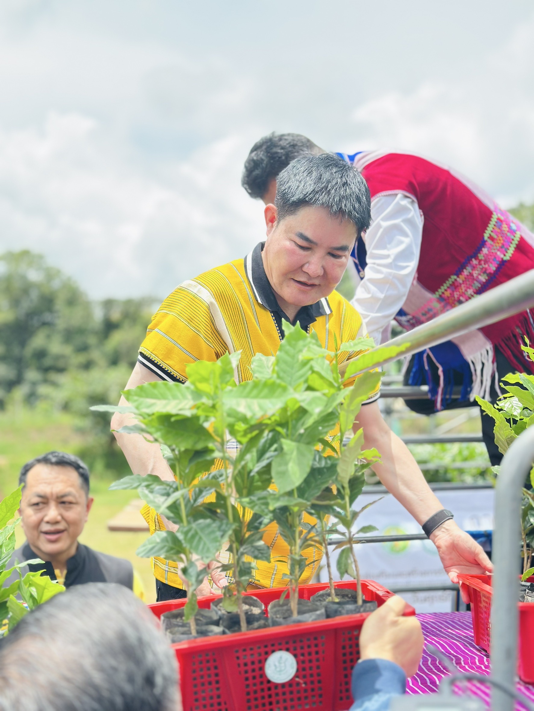 เกษตรฯ ยกระดับกาแฟไทย สู่การบรรลุเป้าหมาย 1,000 ไร่ ในปี 2570 4 S 16547895