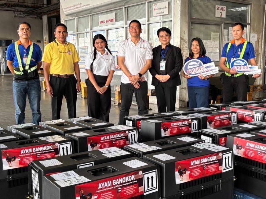กรมปศุสัตว์ผลักดันส่งออกไก่พื้นเมือง (Ayam Bangkok) สู่ตลาดอินโดนีเซีย อย่างต่อเนื่อง 3 S 16687162