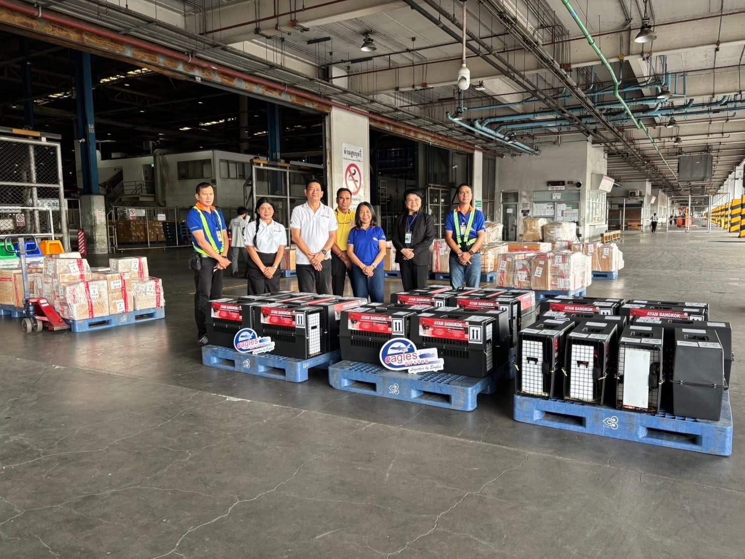 กรมปศุสัตว์ผลักดันส่งออกไก่พื้นเมือง (Ayam Bangkok) สู่ตลาดอินโดนีเซีย อย่างต่อเนื่อง 4 S 16687163