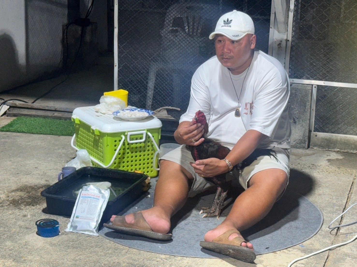 กรมปศุสัตว์ผลักดันส่งออกไก่พื้นเมือง (Ayam Bangkok) สู่ตลาดอินโดนีเซีย อย่างต่อเนื่อง 7 S 16687167