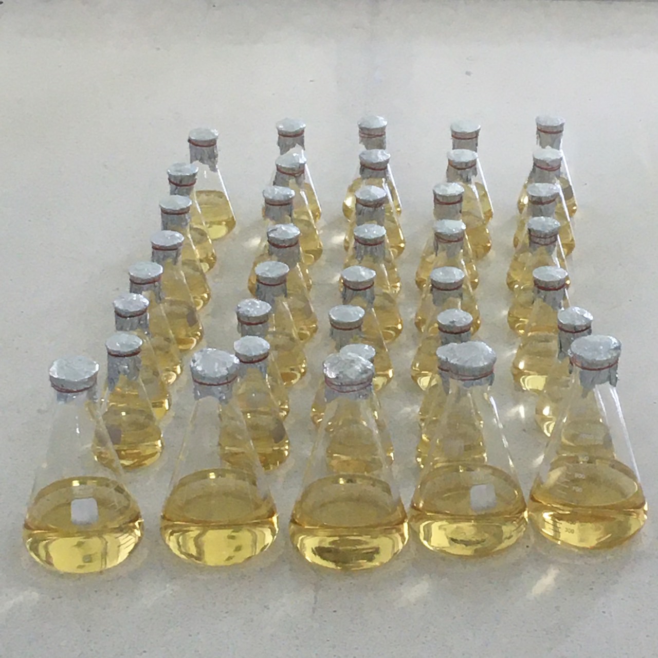 สศก.ติดตามโครงการสร้างมูลค่าเพิ่มจากวัสดุเหลือใช้ทางการเกษตรสู่การสร้างรายได้เกษตรกรอย่างยั่งยืน 4 S 16875569 0