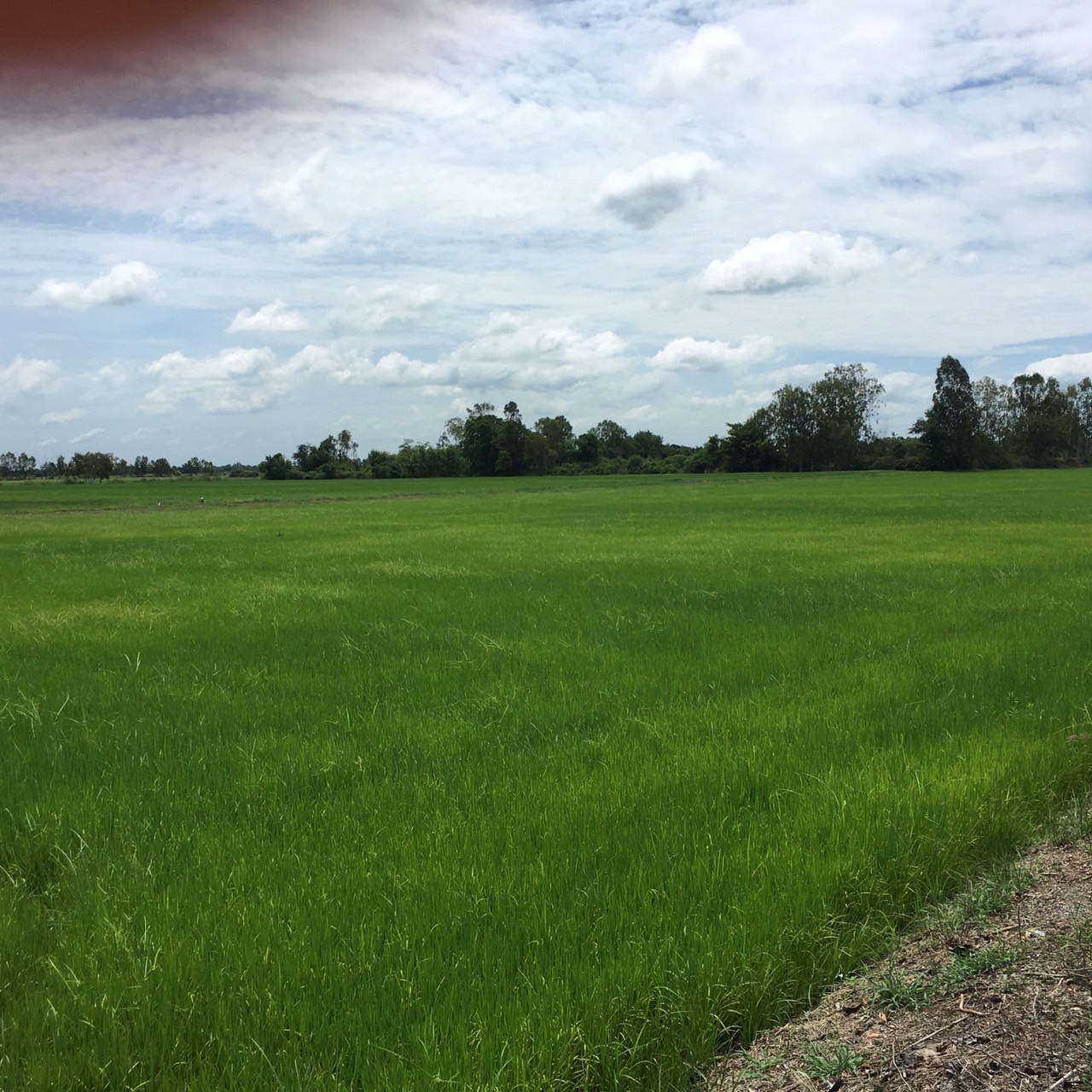 สศก.ติดตามโครงการสร้างมูลค่าเพิ่มจากวัสดุเหลือใช้ทางการเกษตรสู่การสร้างรายได้เกษตรกรอย่างยั่งยืน 7 S 16875573 0