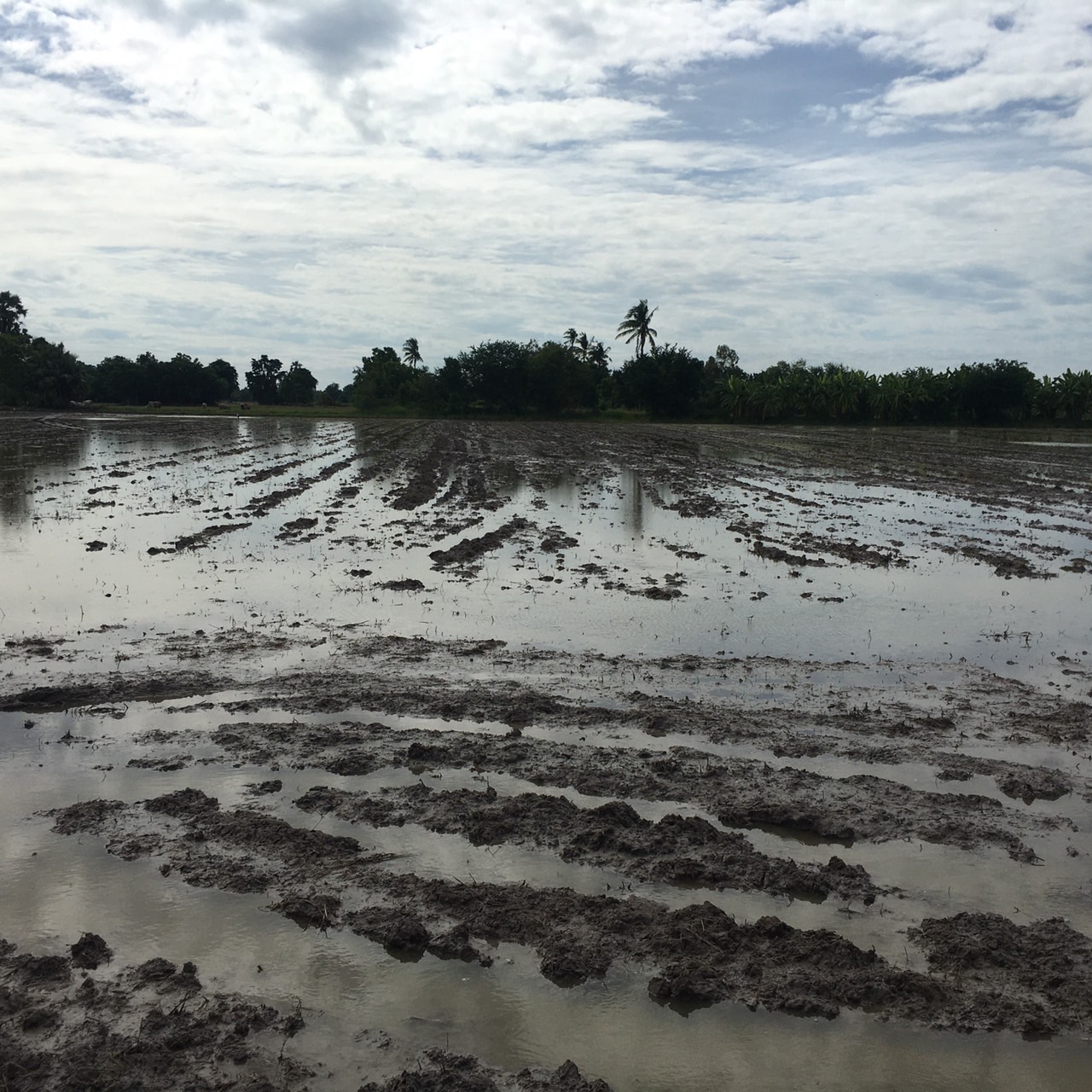 สศก.ติดตามโครงการสร้างมูลค่าเพิ่มจากวัสดุเหลือใช้ทางการเกษตรสู่การสร้างรายได้เกษตรกรอย่างยั่งยืน 8 S 16875575 0