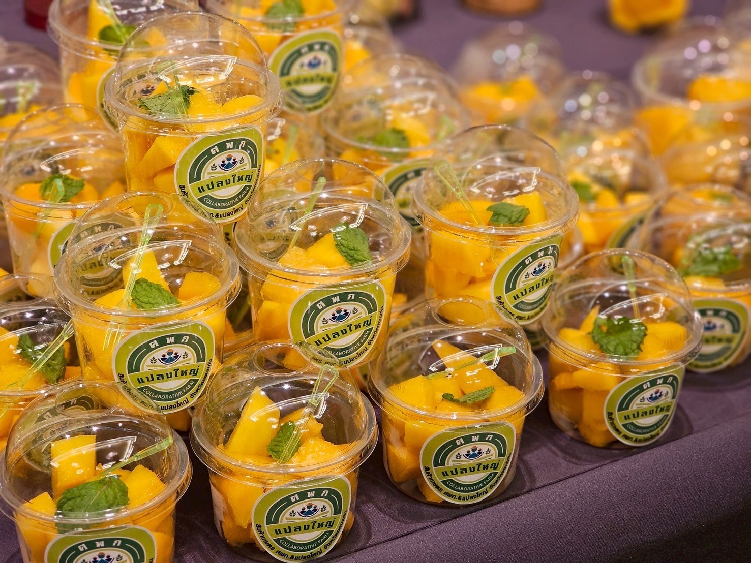 มกอช.หนุนกลุ่มเกษตรกรแปลงใหญ่ขอนแก่น ใช้เครื่องหมาย Q ผลิตสินค้าเกษตรที่มีคุณภาพ ได้มาตรฐาน พร้อมต่อยอดเกษตรมูลค่าสูง ขยายสู่ตลาดโมเดิร์นเทรด 9 S 26148939