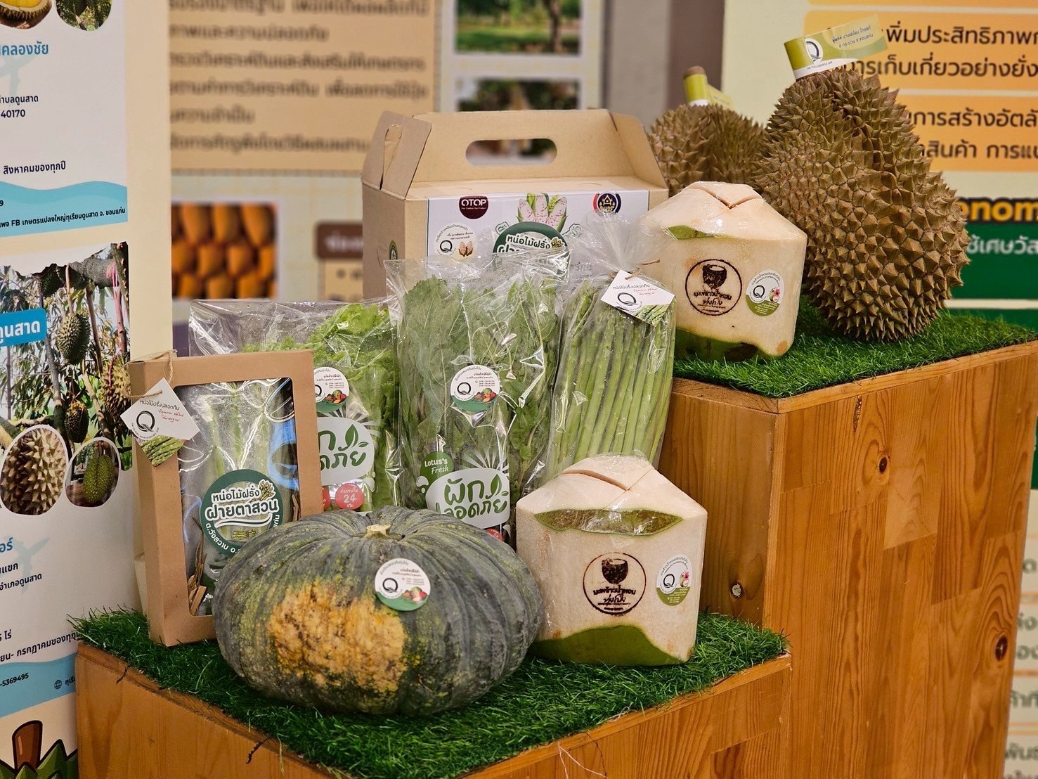 มกอช.หนุนกลุ่มเกษตรกรแปลงใหญ่ขอนแก่น ใช้เครื่องหมาย Q ผลิตสินค้าเกษตรที่มีคุณภาพ ได้มาตรฐาน พร้อมต่อยอดเกษตรมูลค่าสูง ขยายสู่ตลาดโมเดิร์นเทรด 10 S 26148940