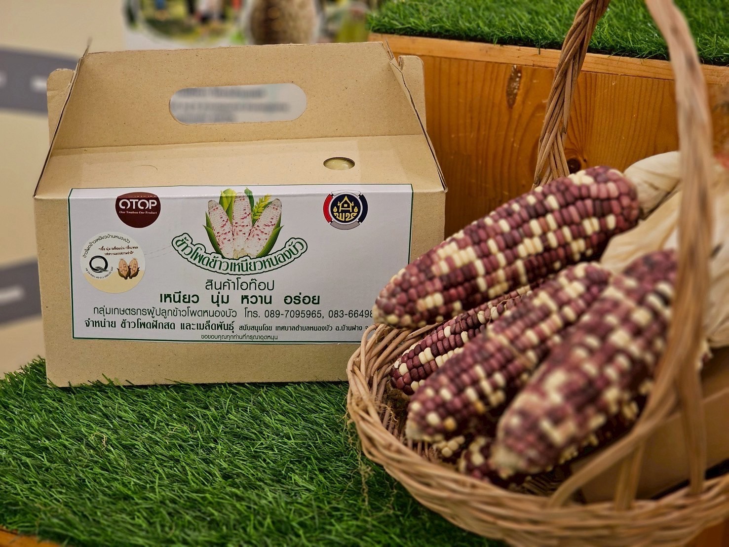 มกอช.หนุนกลุ่มเกษตรกรแปลงใหญ่ขอนแก่น ใช้เครื่องหมาย Q ผลิตสินค้าเกษตรที่มีคุณภาพ ได้มาตรฐาน พร้อมต่อยอดเกษตรมูลค่าสูง ขยายสู่ตลาดโมเดิร์นเทรด 11 S 26148943