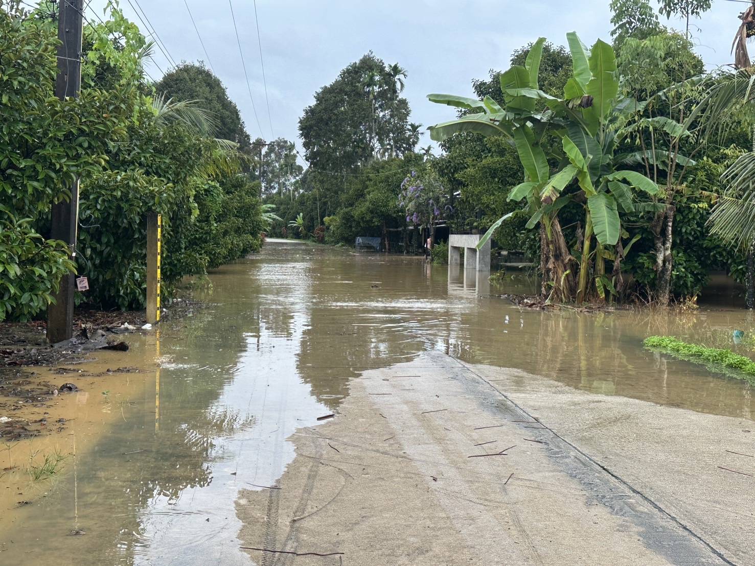 ฝนถล่มจันทบุรี น้ำท่วม 2 อำเภอ หลายพื้นที่เริ่มคลี่คลาย 5 S 39469137