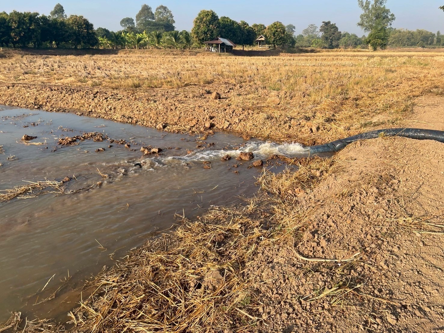 เกษตรกรปรับตัวทันโลก ปลูกข้าวทันอากาศ รายได้เพิ่ม ลดก๊าซเรือนกระจกกว่า 2.4 ล้านตัน กรมส่งเสริมการเกษตร–GIZ พร้อมยกระดับเกษตรกรสู่ Climate Smart Farmer 3 S 4718650 0