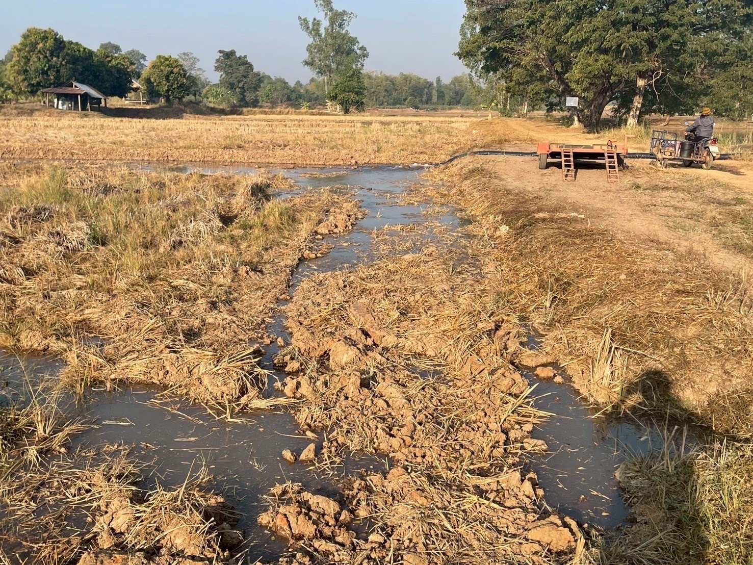เกษตรกรปรับตัวทันโลก ปลูกข้าวทันอากาศ รายได้เพิ่ม ลดก๊าซเรือนกระจกกว่า 2.4 ล้านตัน กรมส่งเสริมการเกษตร–GIZ พร้อมยกระดับเกษตรกรสู่ Climate Smart Farmer 8 S 4718657 0