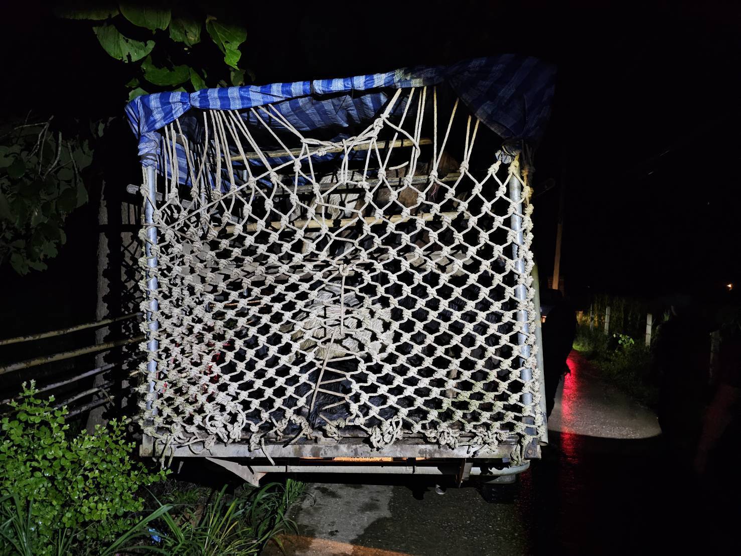 “ฉก.พญานาคราช” ตรวจยึดแพะเถื่อนในพื้นที่จังหวัดตาก 6 S 50970676