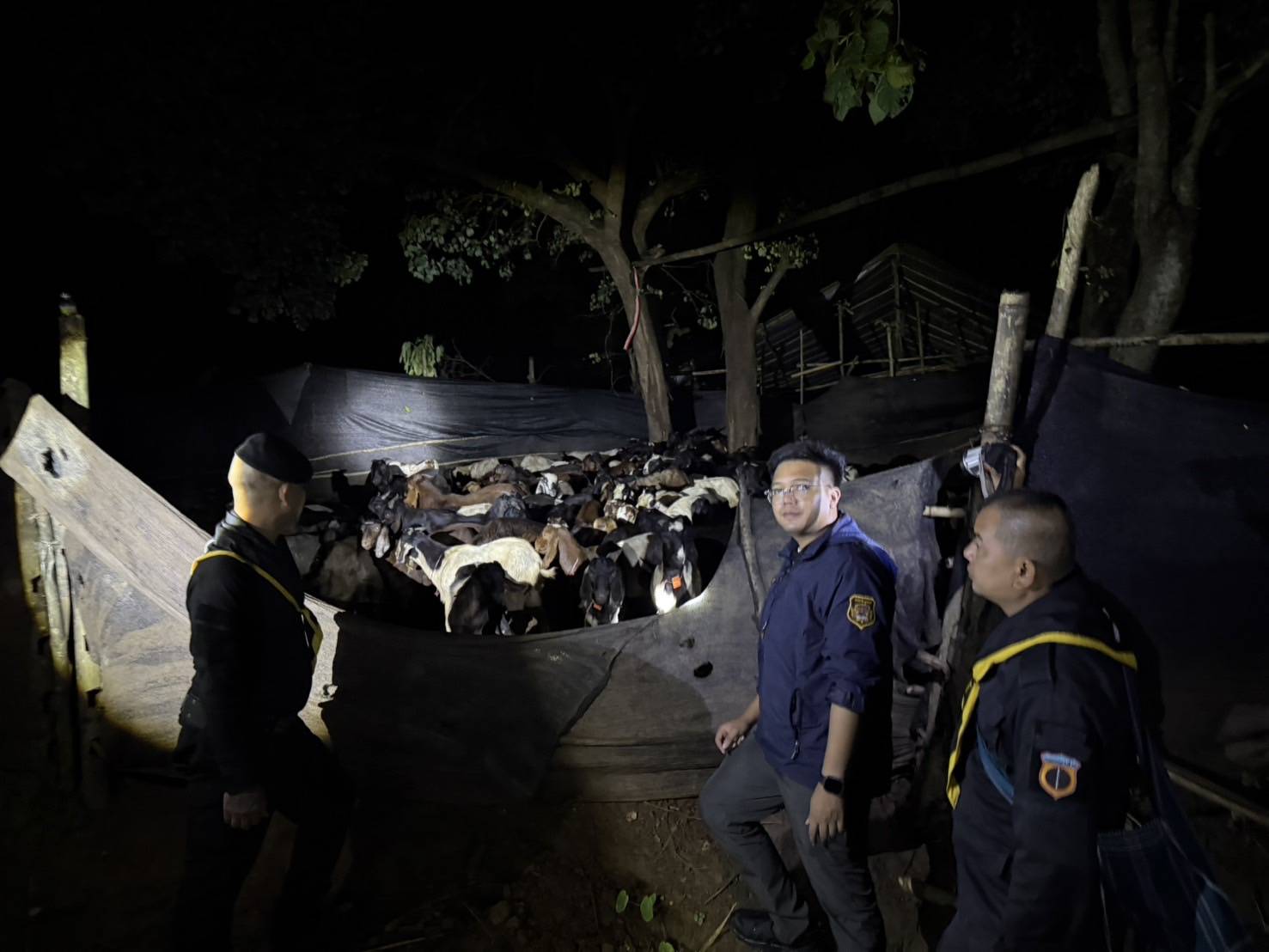 “ฉก.พญานาคราช” ตรวจยึดแพะเถื่อนในพื้นที่จังหวัดตาก 9 S 50970684