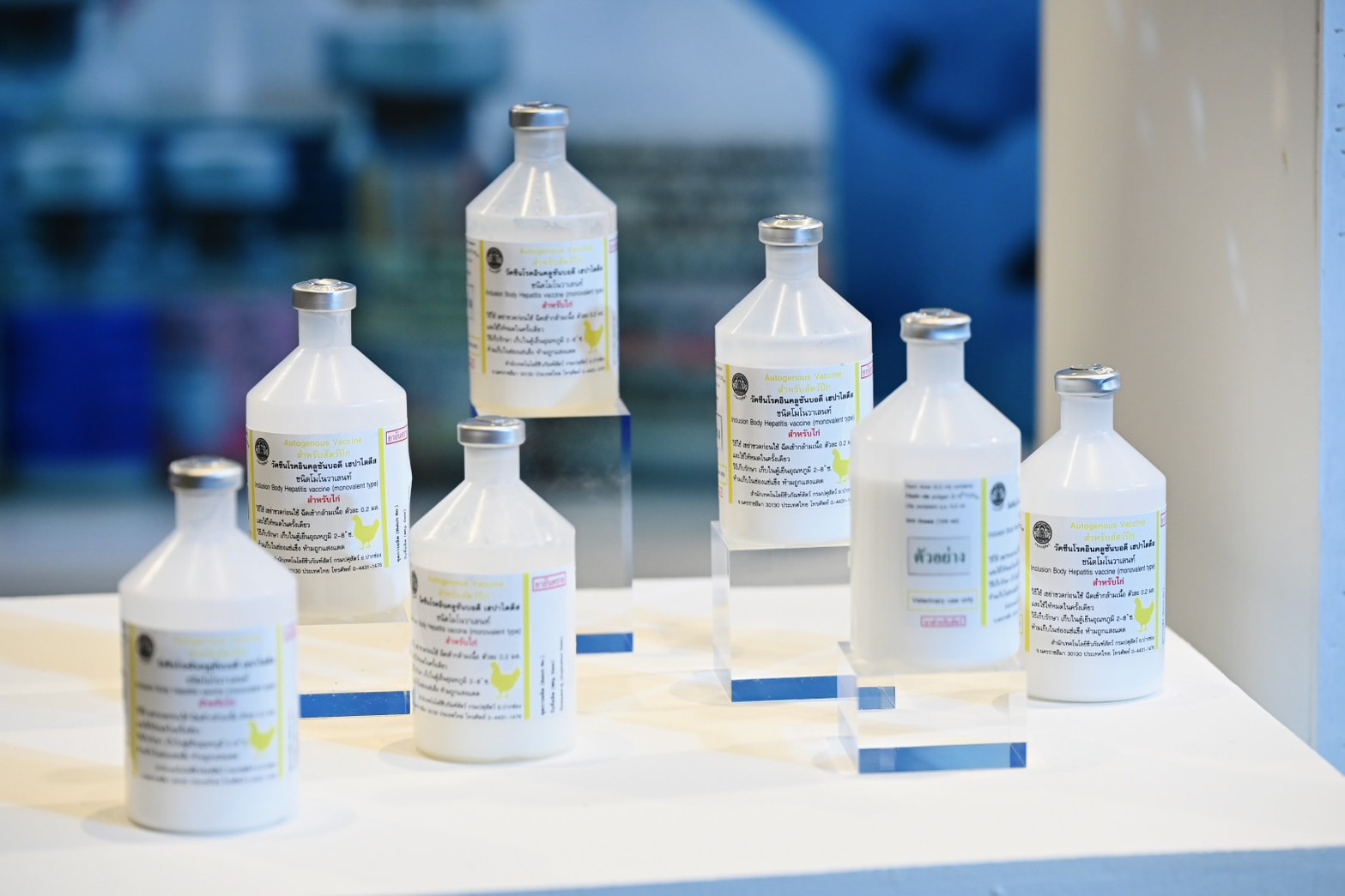 กรมปศุสัตว์เปิดตัว VaxHub และวัคซีนออโตจีนัส IBH ยกระดับการควบคุมโรคสัตว์ด้วยดิจิทัล 5 S 5734590