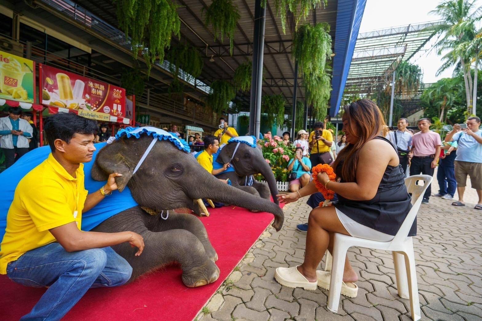 “รักแม่…พาแม่เที่ยว” สวนนงนุชพัทยามอบของขวัญวันแม่ เปิดให้คุณแม่เข้าฟรี 12 สิงหาคมนี้ วันเดียวเท่านั้น 6 S 6727105