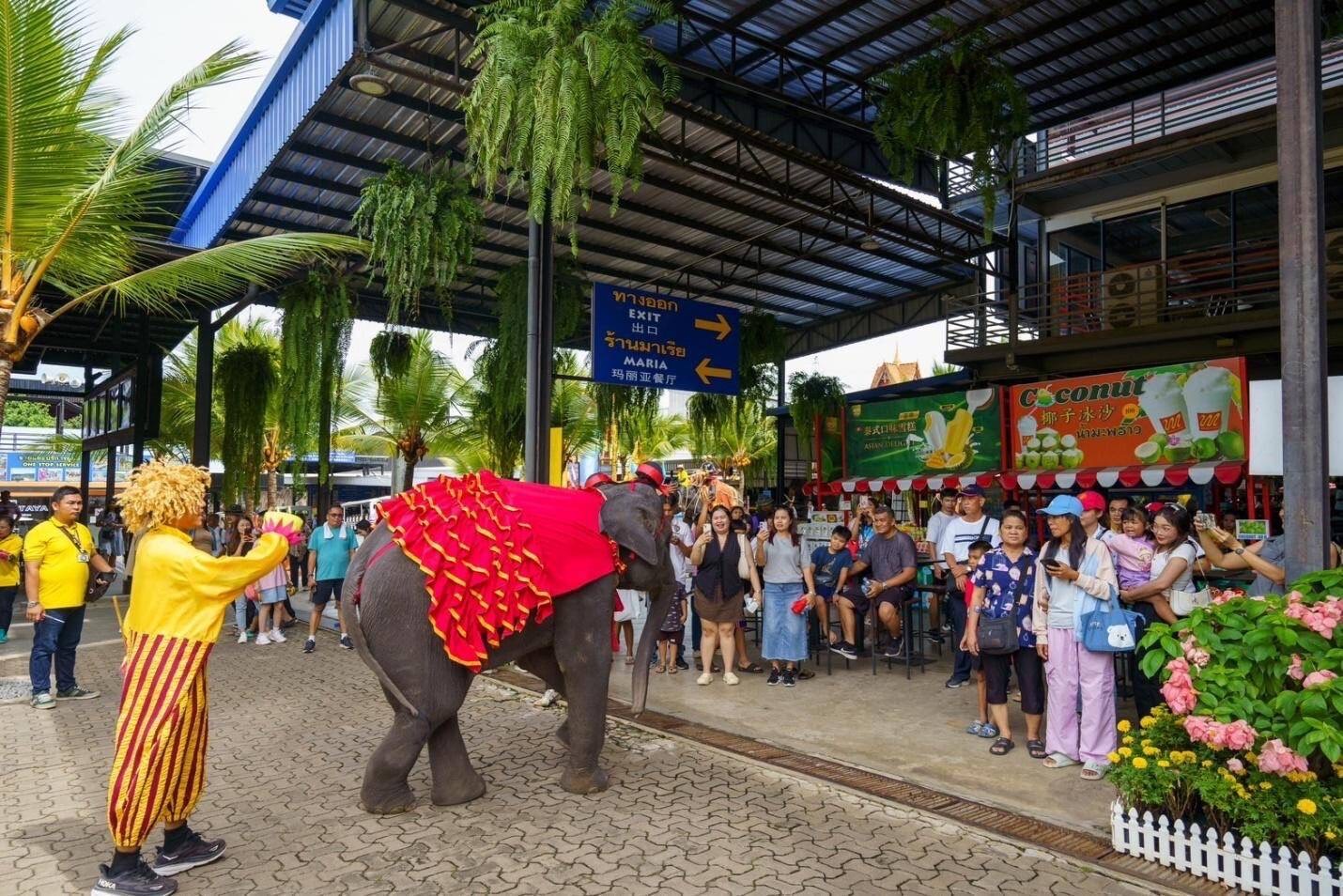 “รักแม่…พาแม่เที่ยว” สวนนงนุชพัทยามอบของขวัญวันแม่ เปิดให้คุณแม่เข้าฟรี 12 สิงหาคมนี้ วันเดียวเท่านั้น 7 S 6727125