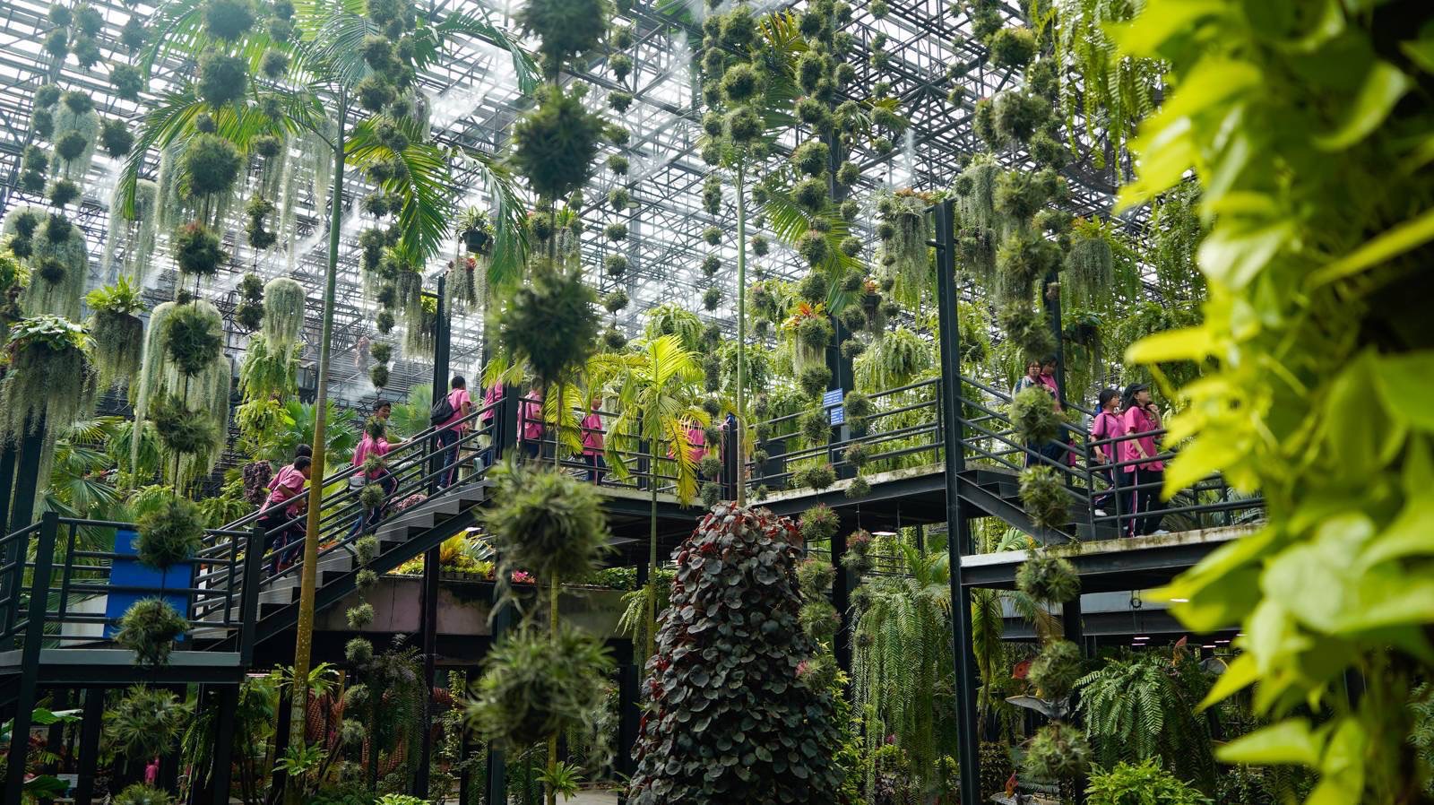 สวนนงนุชพัทยา จัดโปรแรง “ไทยเที่ยวไทย” มา 3 จ่าย 2 ตลอดเดือนกันยายน 4 S 7357911