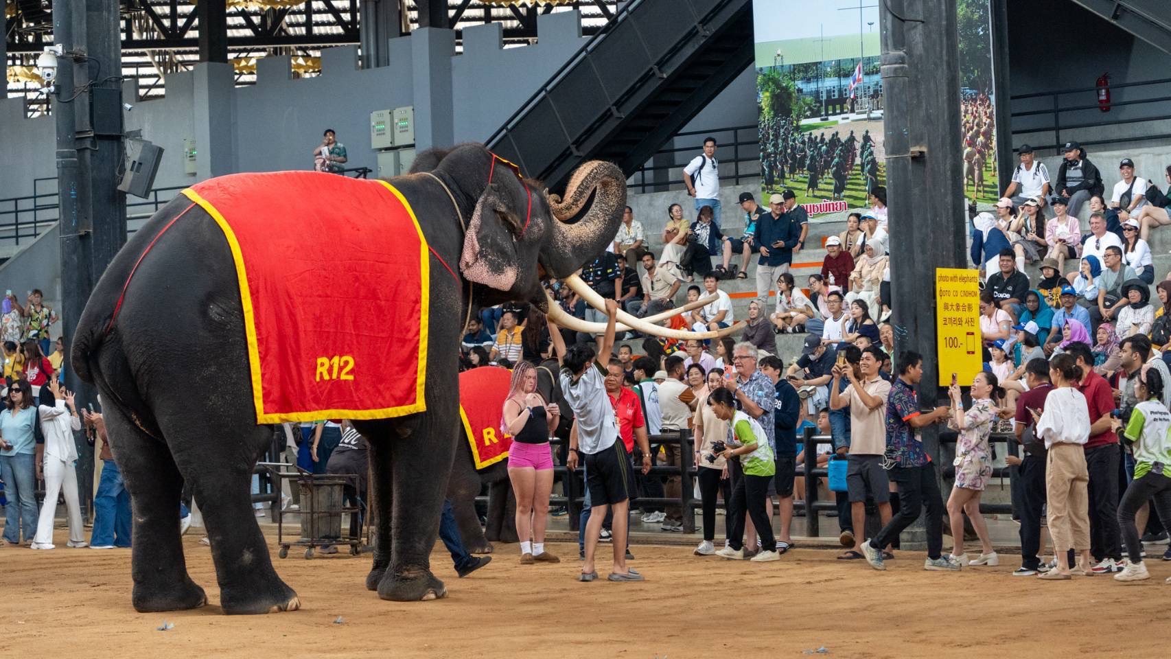 สวนนงนุชพัทยา จัดโปรแรง “ไทยเที่ยวไทย” มา 3 จ่าย 2 ตลอดเดือนกันยายน 9 S 7357989