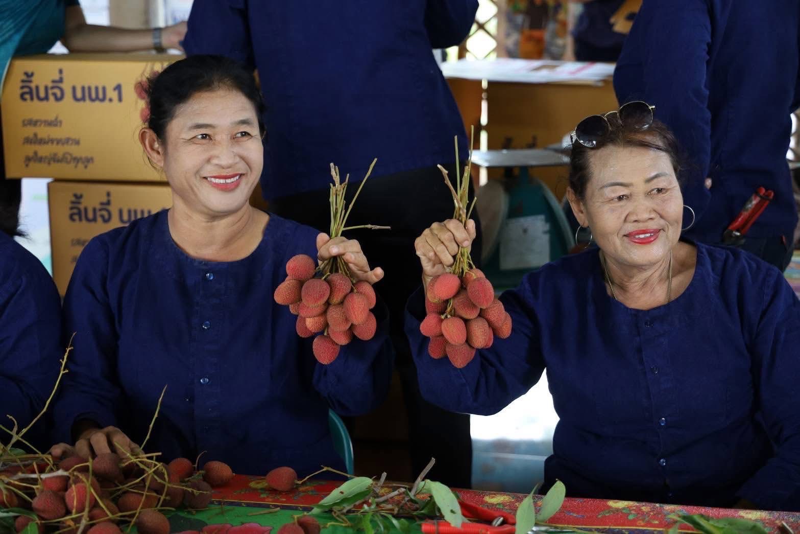 อีกก้าว สหกรณ์ไทยยกระดับมาตรฐานสินค้าสหกรณ์ผ่านแปลงปลูกจีเอพี (GAP) 4 S 8519695