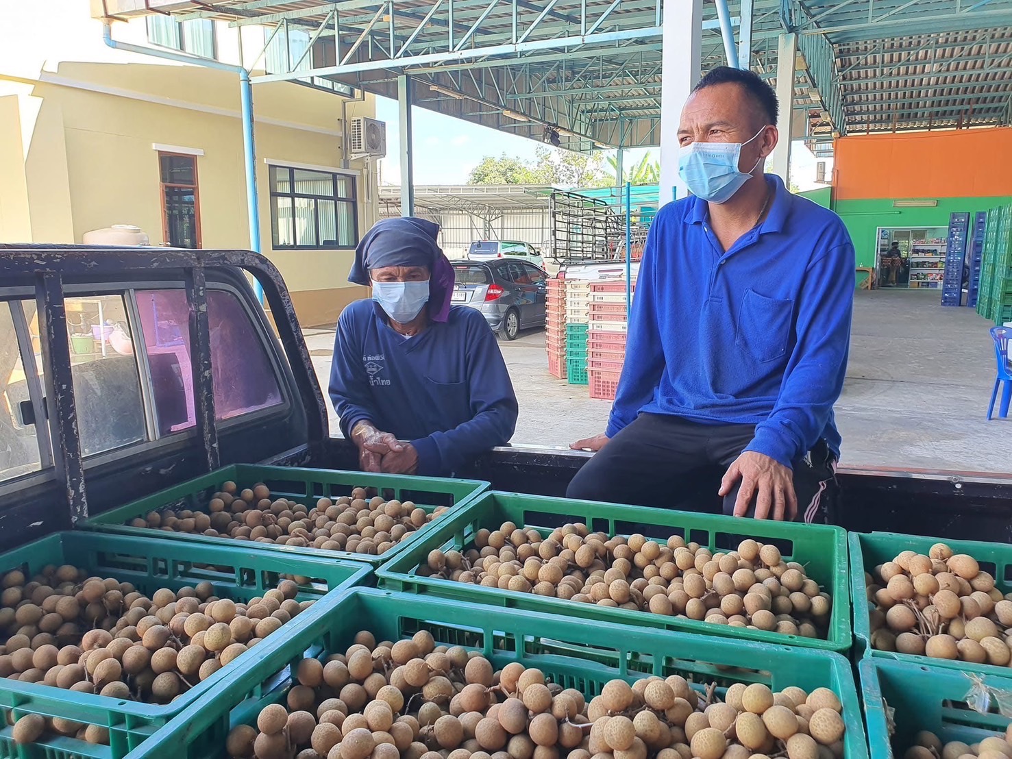 อีกก้าว สหกรณ์ไทยยกระดับมาตรฐานสินค้าสหกรณ์ผ่านแปลงปลูกจีเอพี (GAP) 6 S 8519698