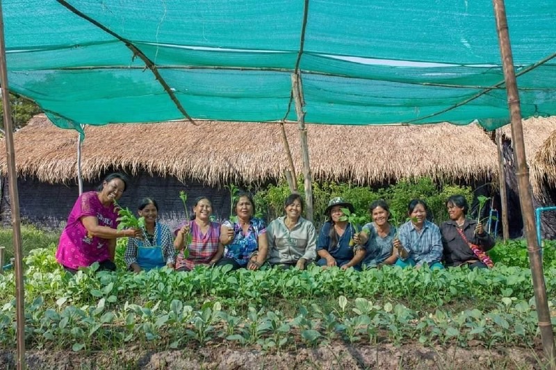 อีกก้าว สหกรณ์ไทยยกระดับมาตรฐานสินค้าสหกรณ์ผ่านแปลงปลูกจีเอพี (GAP) 10 S 8519702