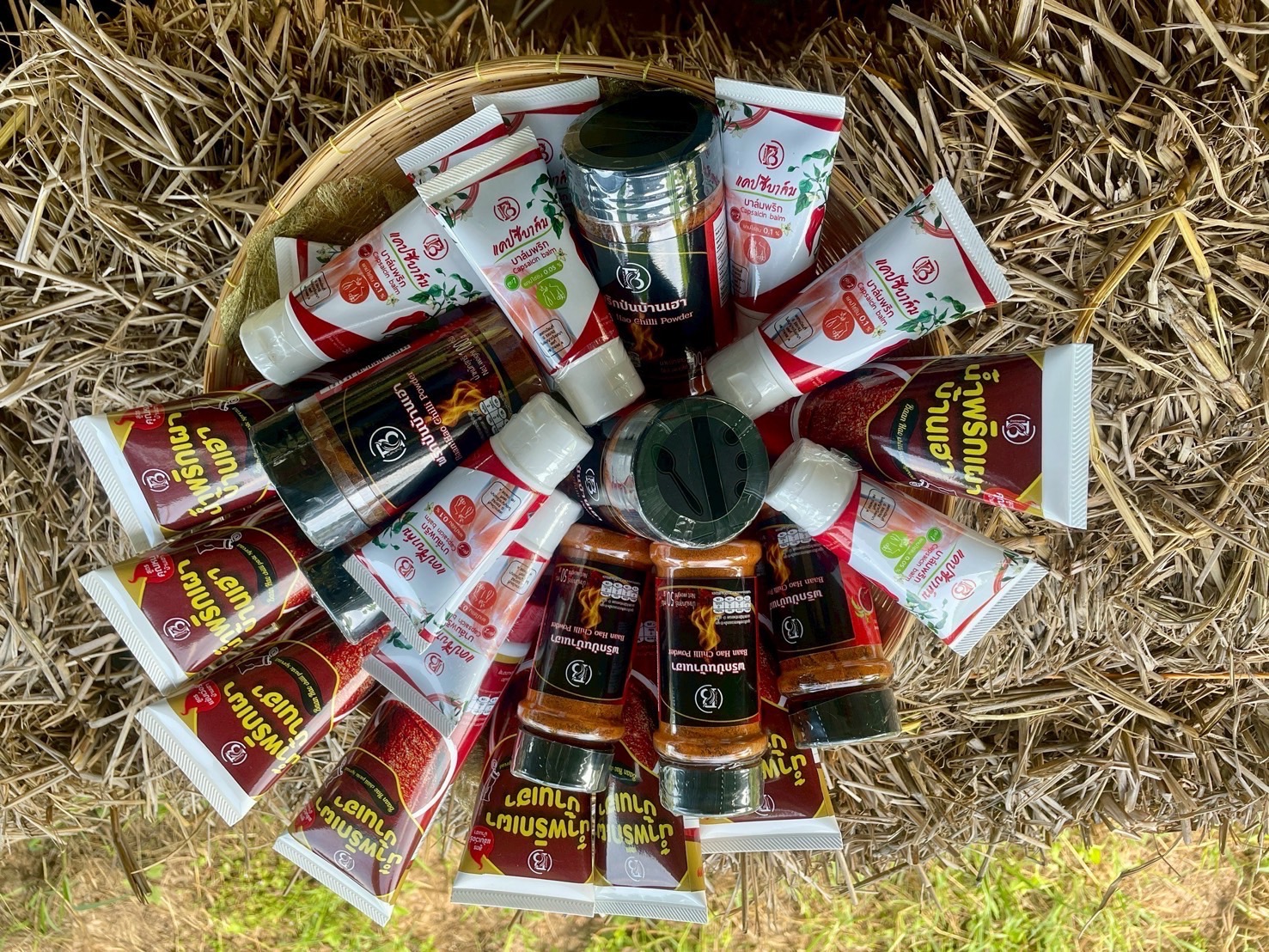 กรมวิชาการเกษตรหนุนเกษตรกรบ้านจานลาน พัฒนาผลิตภัณฑ์จากพริก สู่การผลิตเชิงพาณิชย์ เสริมแกร่งเศรษฐกิจชุมชน 8 S 9027598