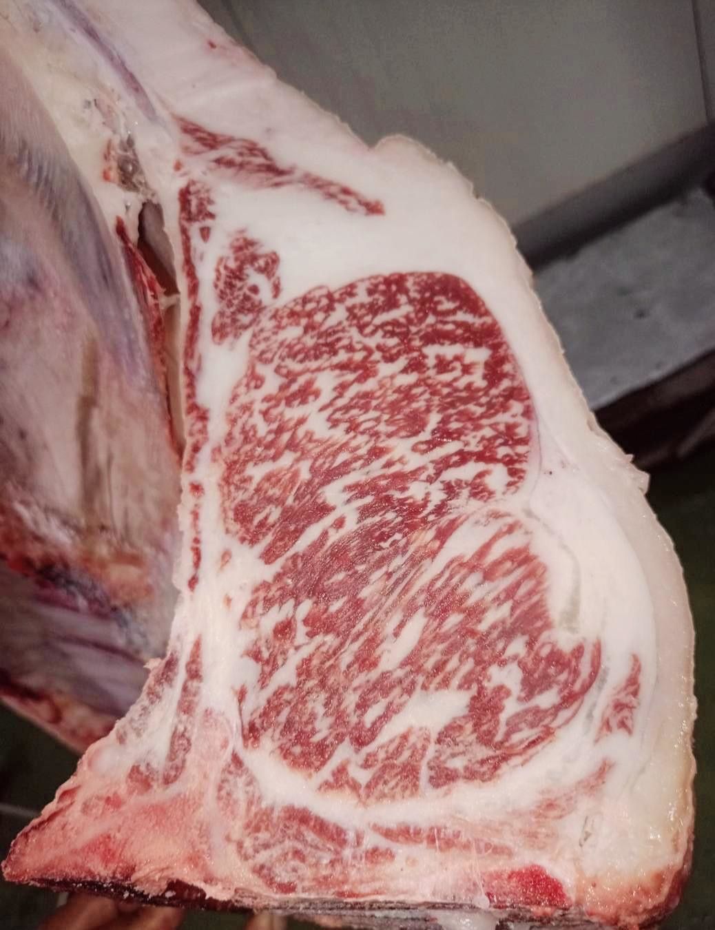 กรมทรัพย์สินทางปัญญาหนุนเศรษฐกิจชุมชนต่อเนื่อง ล่าสุดประกาศขึ้นทะเบียน GI “เนื้อสุรินทร์” สร้างรายได้ให้จังหวัดกว่า 43 ล้านบาท 4 download 2 1