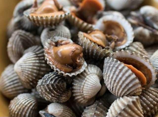 การเลี้ยง o1AJ9