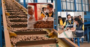 กรมการค้าภายใน เดินหน้าพยุงราคาลำไย3